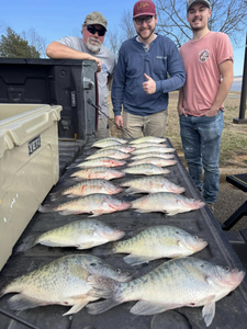 Mississippi crappie: Can't get enough!